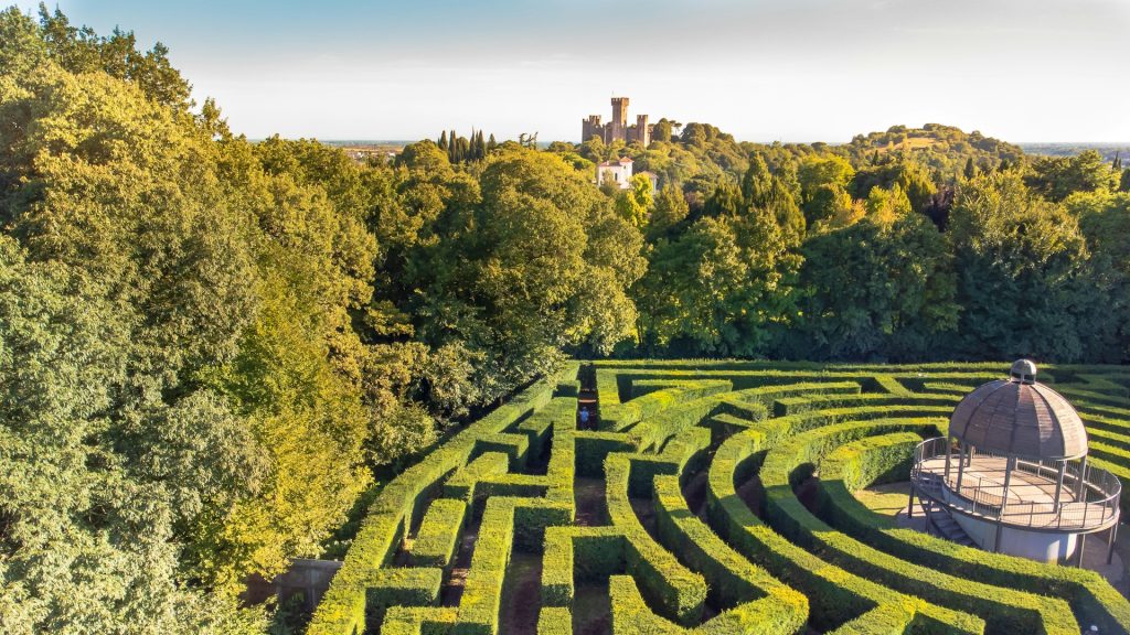Aerial view of a complex maze, representing the go-to expert trap in leadership transition